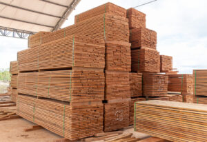 exportação de madeira