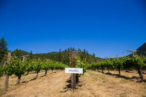 Malbec World Day