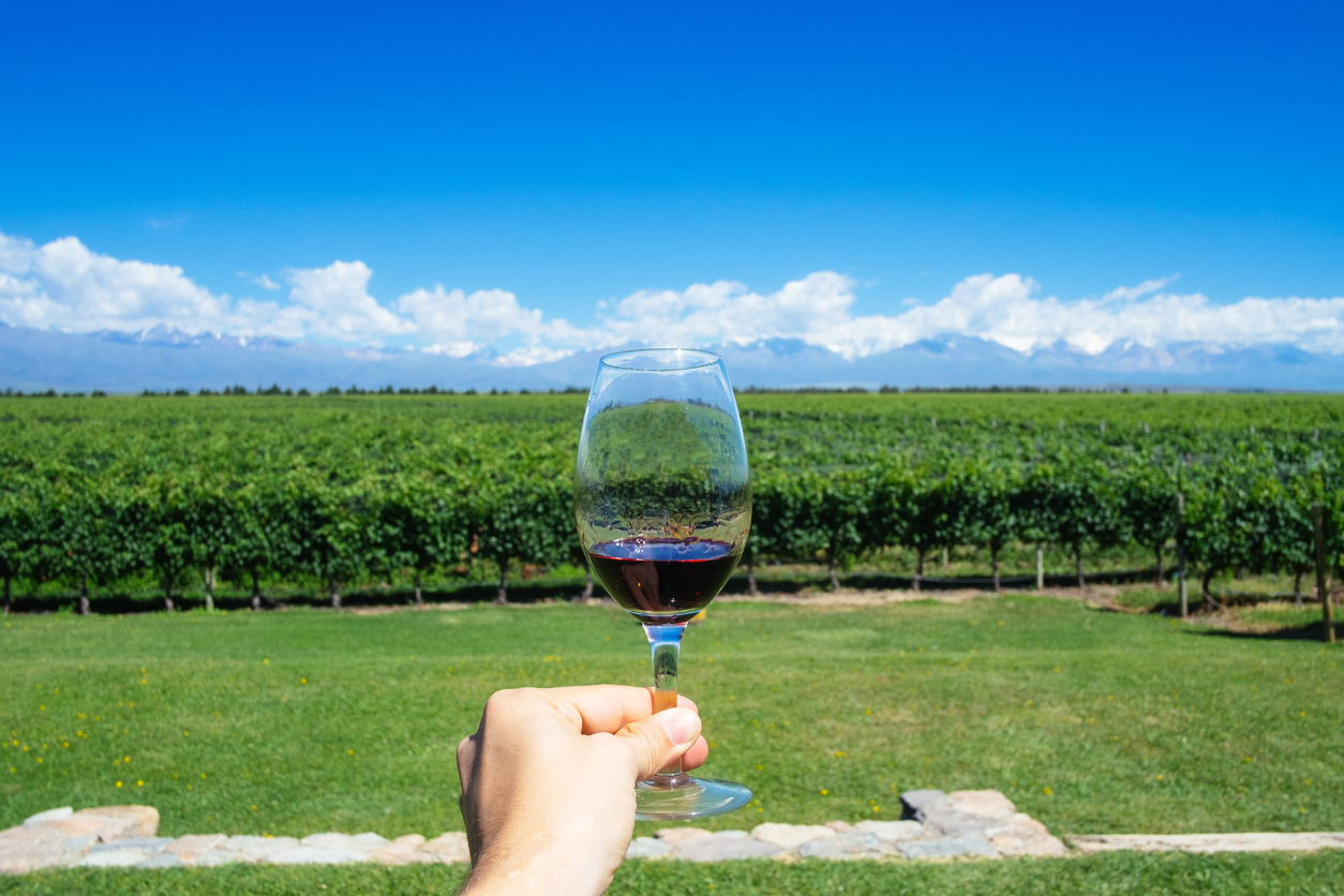 Malbec World Day uma celebração ao vinho Malbec!