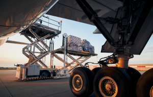 cargas perecíveis no transporte aéreo