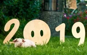 Calendário Chinês