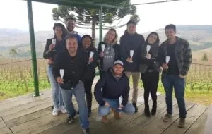 Logística do Vinho