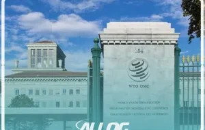Relatório da OMC