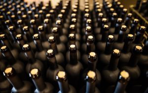 Rows of packed and corked bottles of wine on factory