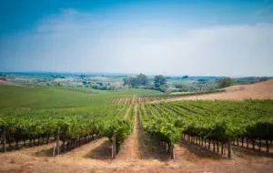 vinícolas gaúchas
